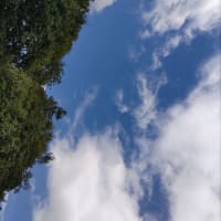 丘の上のマルシェ　ありがとうございました。