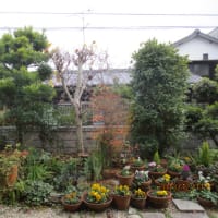 冬支度