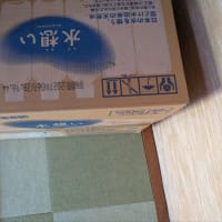 毎日暑すぎて節水も大変