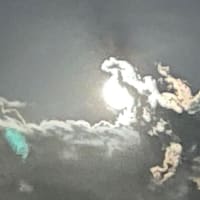 私たちのおやさまの真実