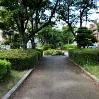 お散歩コース