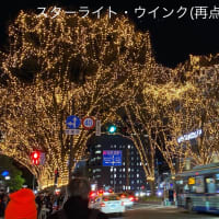 SENDAI光のページェント
