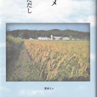 佐藤ただし  エッセイ集『水田とツバメ』