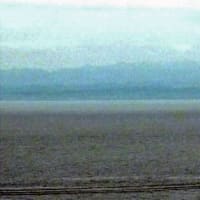 海鳥のサンクチュアリ　天売島と森林浴を楽しむメルヘンの焼尻島　６７回目　焼尻島