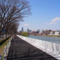 アマチュアカメラマンの著作権を考える