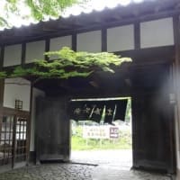 　のんびり ♨ ④