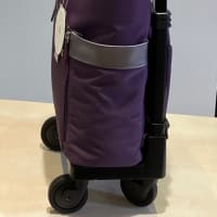 SWANY  新作 KANTOU 間道入荷❣️