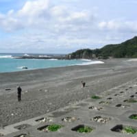 白浜温泉にて・・・・・