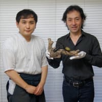 秋川雅史様「二科展」の彫刻部で４年連続の入選