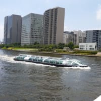 梅雨の晴れ間に通院する。