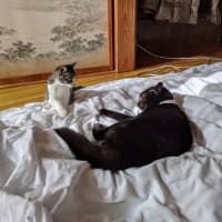 家族です