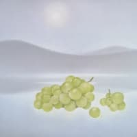 個展 1989/10・5〜10   長谷川美術画廊     帯広　　＝絵画＝