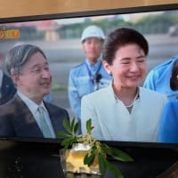 7 月   13日（日）☀