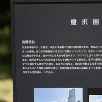 天王寺公園にある慶沢園