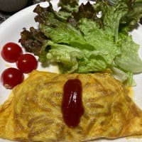 もやしとひき肉のオムレツ