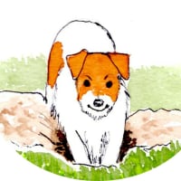 なにしようかな 2
