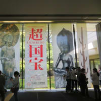 超国宝展