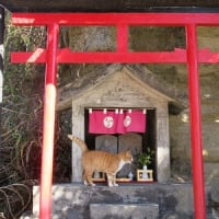 あれこれ2025冬