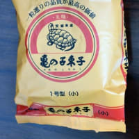 なにゆえに亀の子