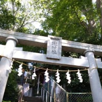 博打でも良いから手を使え オークス勝ち越しどころか4連敗