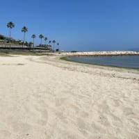 1/1の海