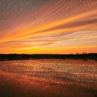 ６月１２日の夕焼け