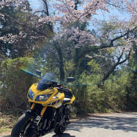 「 FZ1 ツーリング・2022...」