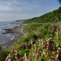 道の駅根巡り　大隅半島編3