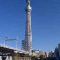 2024年～2025年