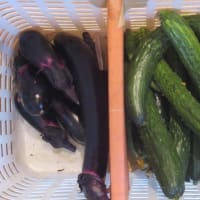 勝って兜の緒を締める