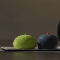 保護猫ルーム＆カフェ「ホーリーハウス」にぜひお出かけを