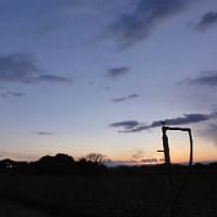 恍惚のブルース
