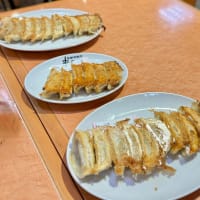 🍓下野国ビジホ旅②昼メシはやっぱ餃子っしょ⁉️【来らっせ】🥟