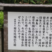 和歌山温泉旅行２－２