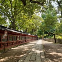 根津神社 夏越しの大祓