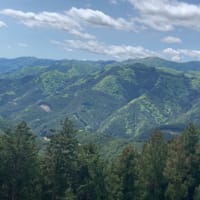 登山　子の権現〜高畑山（埼玉県飯能市）