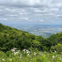 一番簡単な日本百名山？