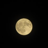 【気まぐれ写真館】 7月の満月「バックムーン」