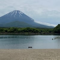 雲晴れて巡る富士山夢ごごち・・・富士山めぐりと信州春旅2025＜２＞