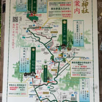ホント、また道に迷った。。。ナビあるのに。。。