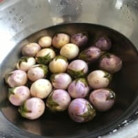 鎌倉野菜・うす紫の子茄子の煮おろし