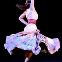 コンクールのフラメンコ衣装　＊Vestido de flamenco para concurso＊