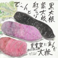 外国人は優遇されている？　医療ただ乗り？　政見放送で
