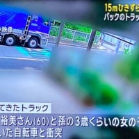 東京でクソ外道が碌に確認もせずに大型トラックでバックして、チャリの女性と女児を轢いて女性を⚫️害
