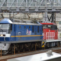 甲種回送HD300-3　by　EF210-354　【鶴見駅脇：東海道貨物線】2024.6.10　