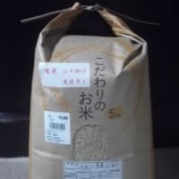 備蓄米を買いました