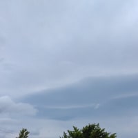 鳥の声