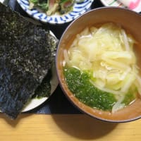 田舎定食・・・さっぱりごはん味噌汁は毎日摂ろう・・・日本の味。
