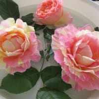 梅雨入り＆人間ドックへ
