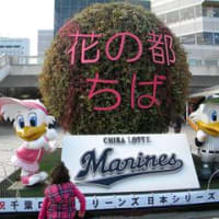 マリサポ日記2010.11.21-2